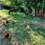 Nyaraló Chez Papi A Lascaux