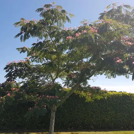 Prázdninový dům Chez Papi A Lascaux