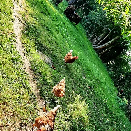 Chez Papi A Lascaux Prázdninový dům *