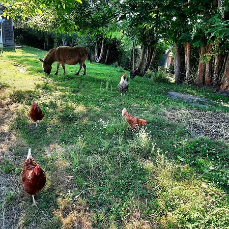 度假居 Chez Papi A Lascaux