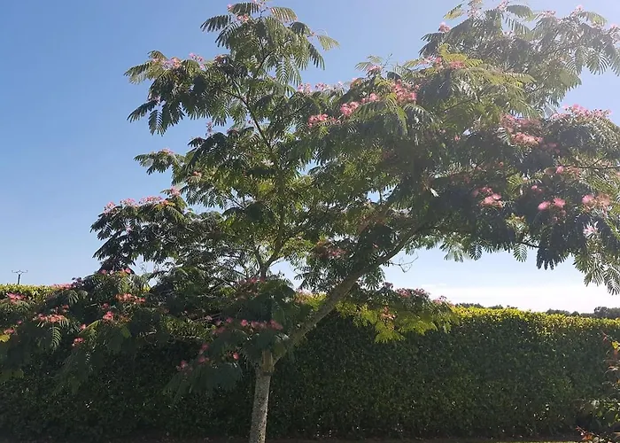 Сasa de vacaciones Chez Papi A Lascaux