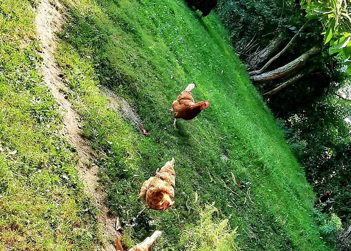 Chez Papi A Lascaux Сasa de vacaciones *