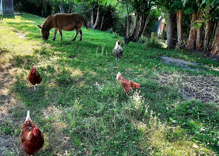 Сasa de vacaciones Chez Papi A Lascaux